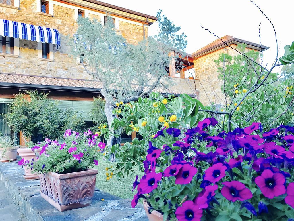 Casa Vacanze Il Cenito Castellabate Exterior photo