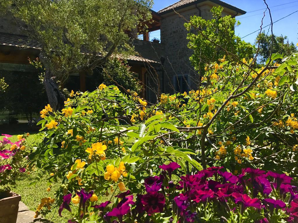 Casa Vacanze Il Cenito Castellabate Exterior photo